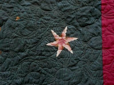 Golden Koi (closeup 1)